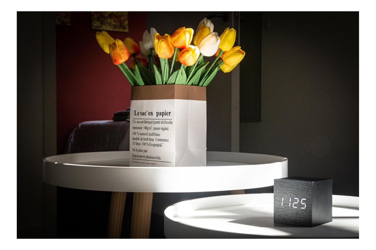 Apartment Perk Apartments-antwerp *