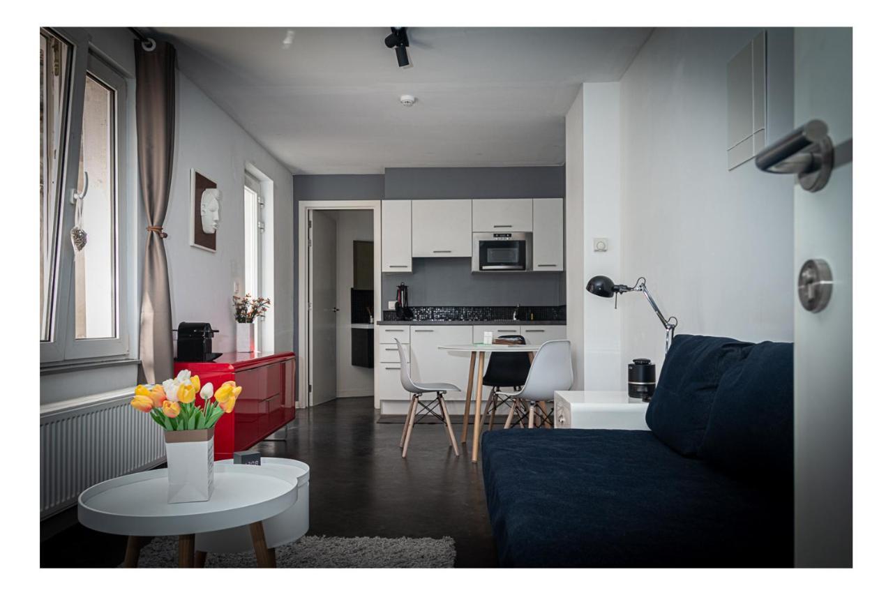 Perk Apartments-antwerp *