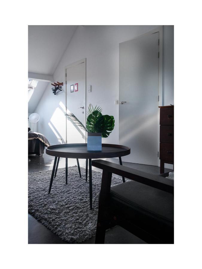 Perk Apartments-antwerp